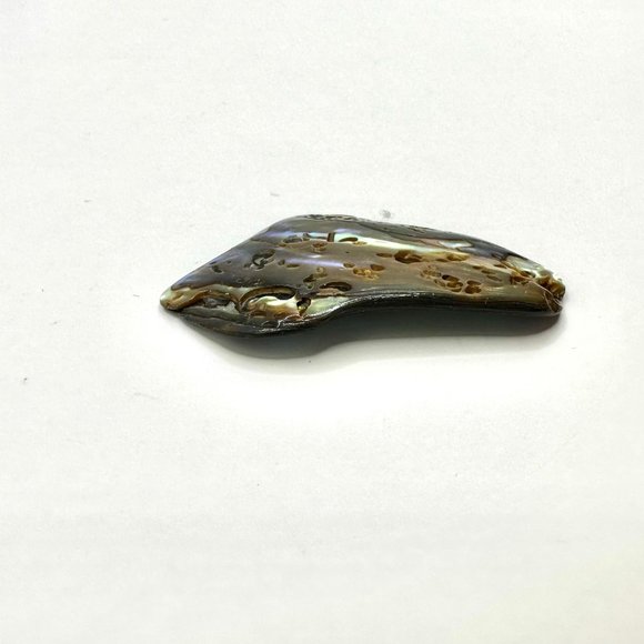 1.5" Abalone Shell Ocean Sea Pendant Holographic Beach - Picture 4 of 8